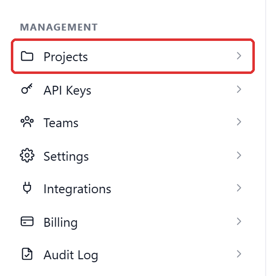 The Management group of the sidebar — Projects, API Keys, Teams, Settings, Integrations, Billing, Audit Log — with Projects outlined